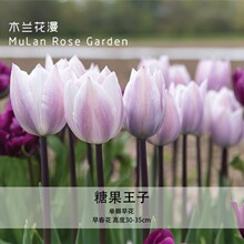 ľ�m����2023�＾�ΰ���������Ȼ����m�M�ڷN������ˮ�ຆ�λ���