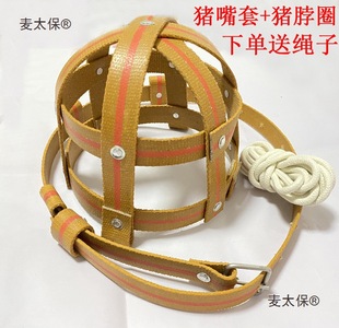 �¿�Ӻ�ĸ�i����ĸ�i��ҧ���i����С�i��ҧ�F؛�ٰl���Sֱ��̫��