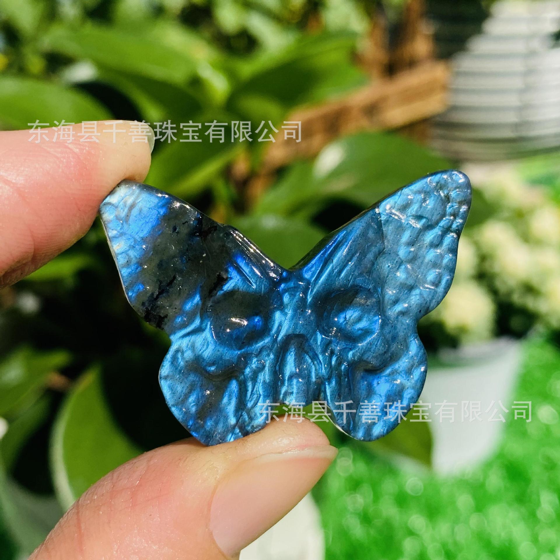 스켈레톤 나비 3.5cm