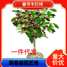 �O����ľ����1-5���ּ޽ӹ���������O�������O��������Ҙ����