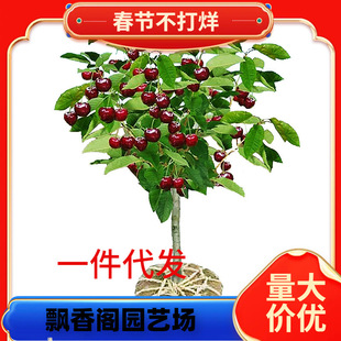 �O����ľ����1-5���ּ޽ӹ���������O�������O��������Ҙ����