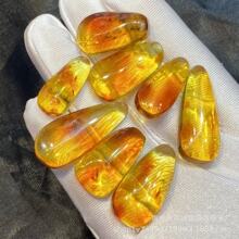 ��Ȼ��������ˮ�ε�׹ɫ���ƿſŴ���DIY�������곧������