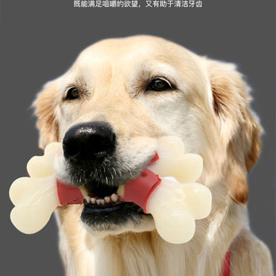 tpe狗玩具耐咬仿真骨头狗啃咬大狗磨牙棒亚热销马逊狗咬骨头-阿里巴巴
