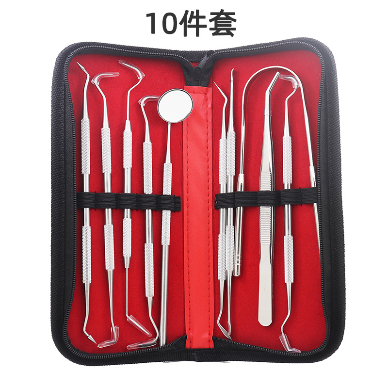 Stainless Steel Dentist Tools 10 PCs Set Leather Case Packaging Cleaning Calculi Probe Oral Mirror Care Set