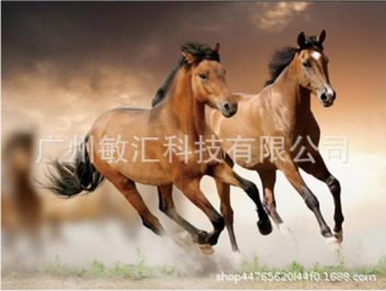 5D 고정 관념 [3]