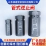 定制液压直通管式止回阀
