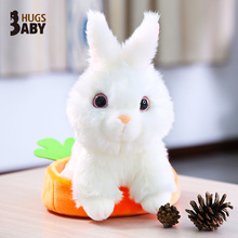 ������ؐ�Ȍ����ӹ��Є���؈��ë�q������ӸC��ż�Y�� ��ͯ���