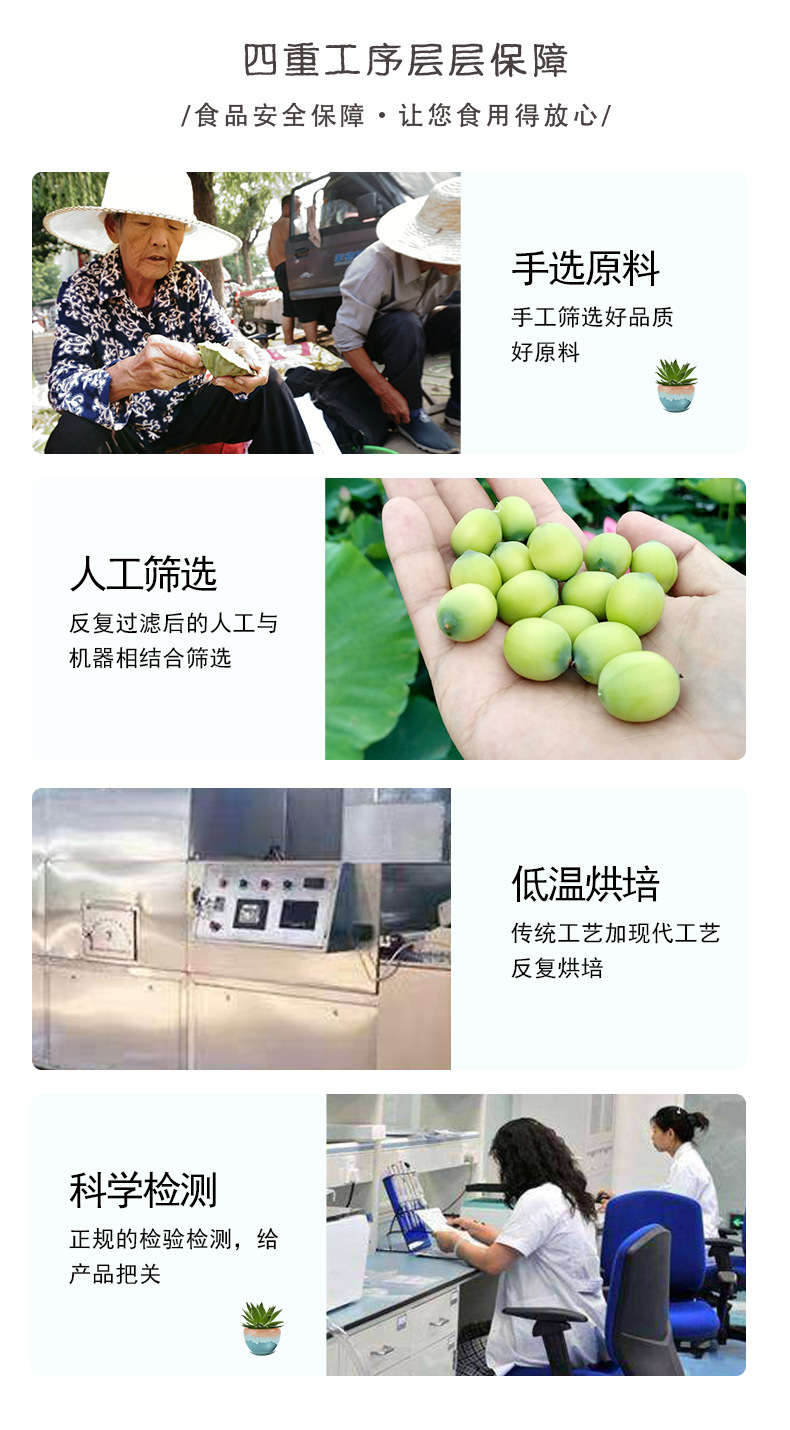 Dried White Lotus Seeds Bai Lian Zi 500g Coreless Peeled Herbal Tea and Soup Ingredient quality and texture
