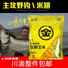 金龙鱼饵生鲜玉米筏钓翘嘴嫩甜玉米粒野钓草鱼鲤鱼打窝料钓鱼饵料