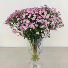 ��˼÷�r�л���ϻ���ֱ�l��÷С�����L�������ÿ͏d�k��˾�r��