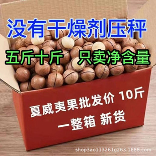 �����Ĺ�10���������lһ����Թ�����ζɢ�b��ʳ�W�t���]2023��؛