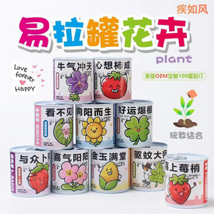 Children's Indoor Can Potted Plants for Primary School Students to Start School Season Gifts Plants Blind Box Desktop Easy to Grow Green Plants and Florals