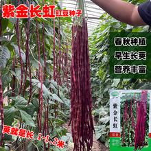 ����tƤ���ǷN�����L�t�����N���ϼܶ��ļ�����߮a�͟��߲˷N��