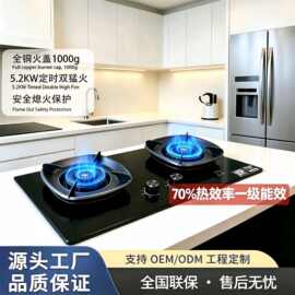 新国标一级能效70%高热效率燃气灶全铜火盖莲花防堵双猛火煤气灶