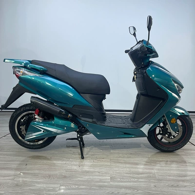 F1-4 Electric: Motuoche Auto Parts and Accessories
