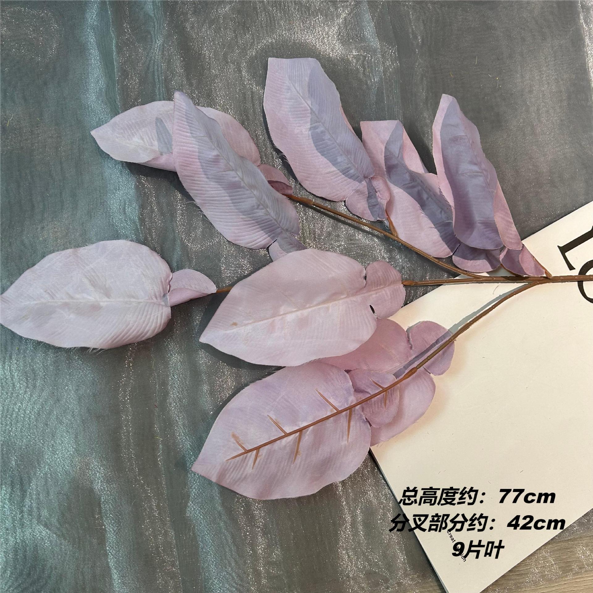XGM 대형 자몽잎