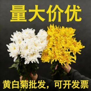 �S�׾��r�л����l�����������û�����ֱ����Ĺ�ω��ջ���������