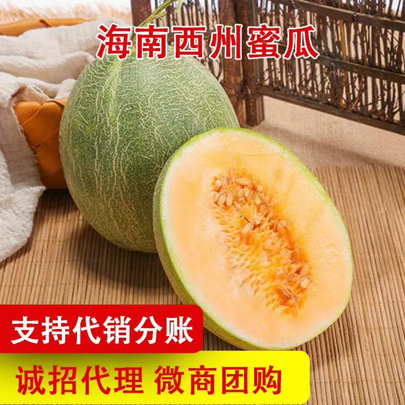 海南西洲蜜瓜哈密瓜新鲜水果蜜甜当季现摘带箱9斤非网纹瓜代发