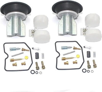 Motorcycle engine and accessories: the configuration suitable for Yamaha - 011-suitable-for-kawasaki-en450