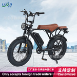 ebike跨境工厂直供电动车超长续航变速锂电车胖胎沙滩雪地自行车