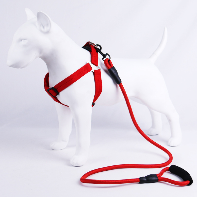 Human print dog leash collar chest back strap for Teddy Golden Retriever large medium small dogs walking rope