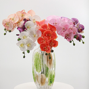 ���滨�ָб�������m���ҿ͏d��ˇ���s�[�����յ��߻�c�ٻ��[�O