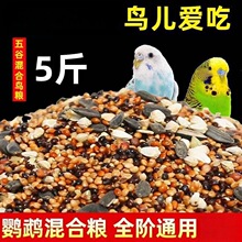 ����B�Z�Bʳ�B���W�^��ϻ�Ƥ���Pĵ����ɫ����ʳ����ȹ��ӎ���