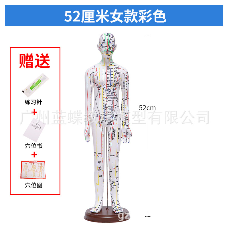 52CM ���������徭��Ѩλģ�� ���ͭɫ������ζʮ�ľ�����Ůģ��