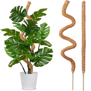 Hemp Rope Bottom Climbing Vine Bracket Bendable Shaped Green Rose Horticultural Pillar Deformed Coconut Palm Stick Plant Climbing Factory