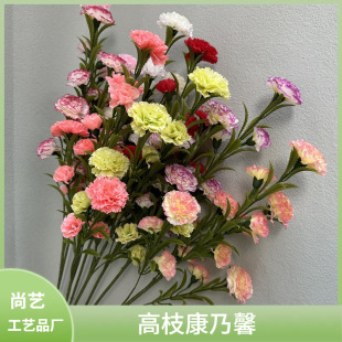����ܰ���滨����c�ٻ��͏d�[���ҾӲ�����ˇ�[�Oĸ�H���������l