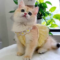 Одежда для кошек, летняя тонкая летняя одежда на бретельках для кошек, дышащая одежда на двух ногах, серебряная градиентная юбка для кошек, оптовая продажа