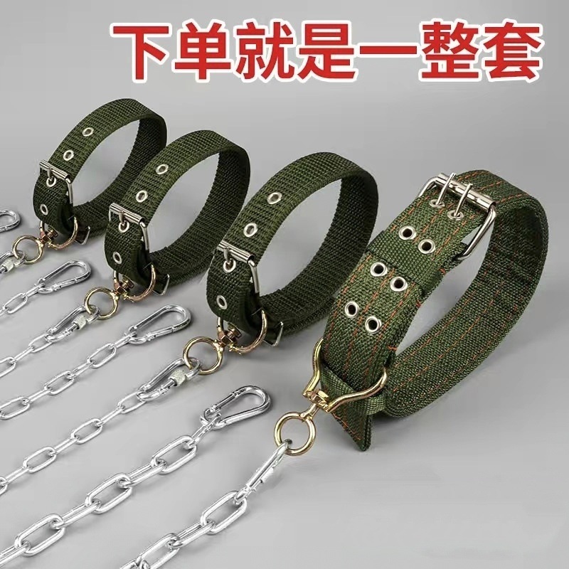 新款不锈钢狗链子大型犬中型犬小型犬铁链项圈狗绳防咬家用牵引带|undefined
