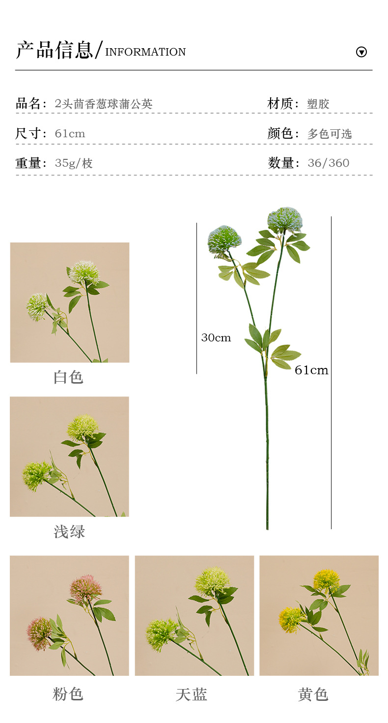 2头茴香葱球蒲公英_03.jpg