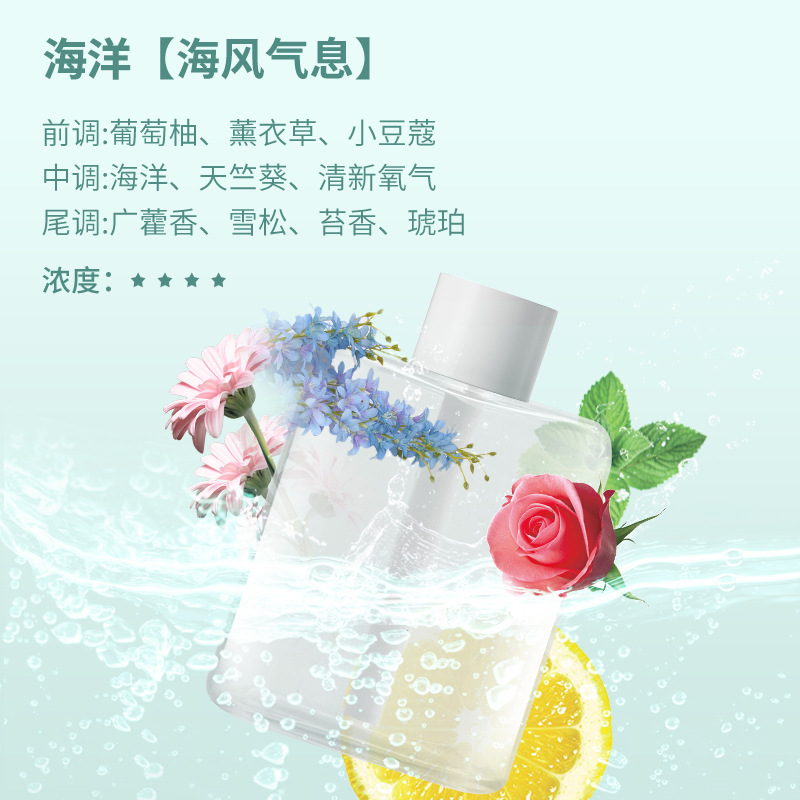 해양 아로마테라피 에센셜 오일(머신은 포함되지 않음)