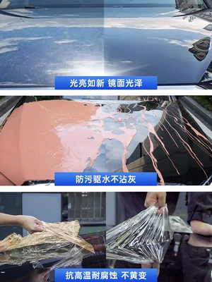 Maintenance Liquid, Invisible Car Cover | Cleaning/curing agent