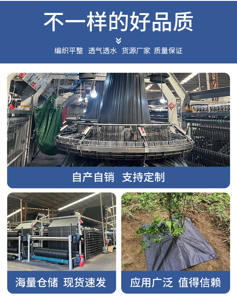 未标题-1_05.jpg