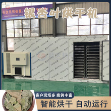银杏树叶烘干房 白果叶飞蛾叶药材烧生物颗粒哄烤房 银杏叶烘干机