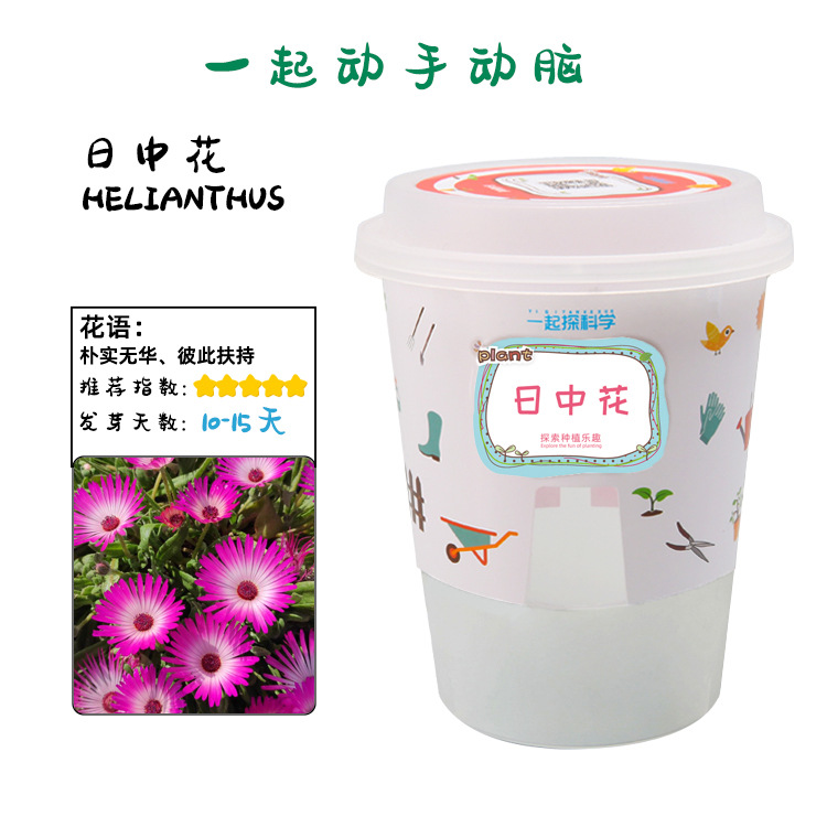 Juguetes educativos para niños al por mayor experimento científico traje kindergarten DIY hecho a mano Tecnología pequeña producción material regalo