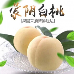 白桃山东蒙奶油大白脆白玉脆甜毛桃水蜜桃新鲜应季水果厂家直销-阿里巴巴