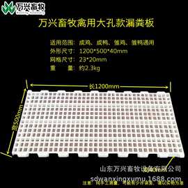 鸡鸭鹅用纯料漏粪板养殖场用漏粪地板网加厚图片、价格、型号