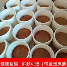 �����մɹ�������й�С�����ͺ��J�B��й��ҵ��x�Q�x�þ�