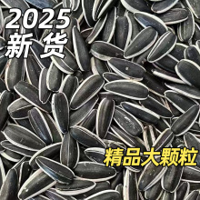 2025؛Ѵwrlɹԭζʳ؛