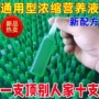 养花多肉植物水培肥料