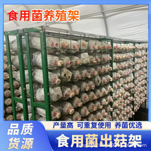出菇架食用种植蘑菇网培养架绿色铁丝养殖网方舱种植香菇出菇架