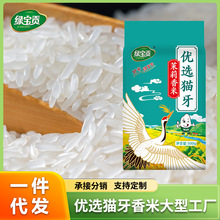 绿宝贡优选猫牙茉莉香米1斤 新鲜大米煮饭软糯长粒香大米优质大米