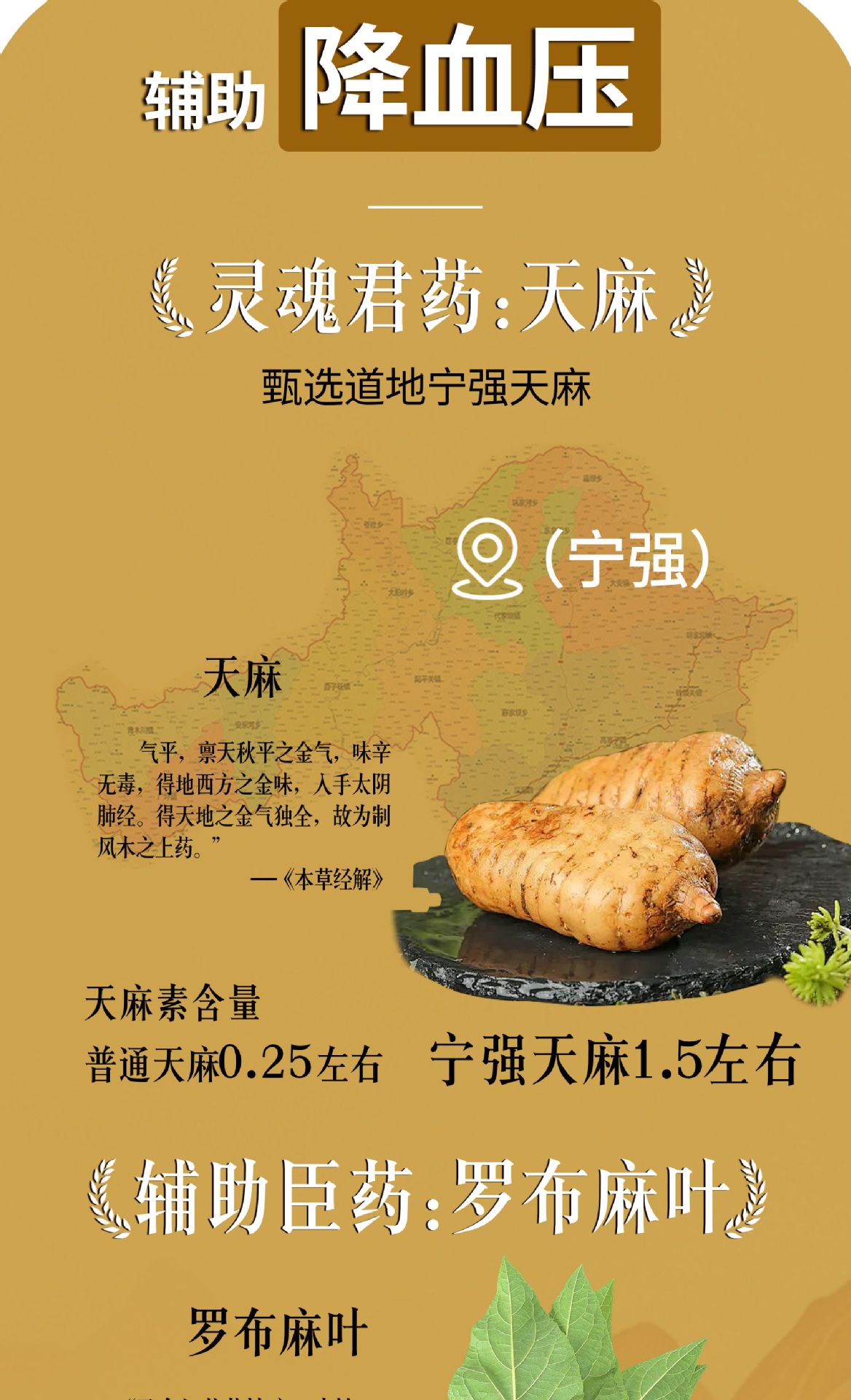 Tongmai Su Dan Shen Du Zhong Luo Bu Ma Ye Capsules 0.4g Traditional Herbal Support for Middle-Aged and Older Adults quality and texture