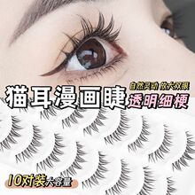 10对装鸢尾花假睫毛大容量一片式透明梗小恶魔新手猫耳漫画仿真