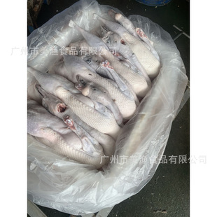 ���r�����Z���h�����Z���Z���Zԭ�����Z�Z����Z3-4kg/ֻ�Q�ذl؛