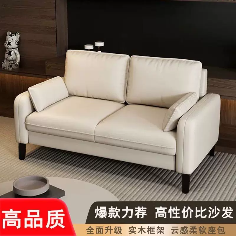 北欧双人沙发小户型家用公寓出租房办公室休息区接待科技布小沙发