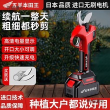 M¿С늄֦늳ؼɣ֦̫